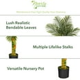 thumbnail image 3 of Nearly Natural 5ft. Golden Cane Artificial Palm Tree, Green, 3 of 6