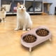 thumbnail image 1 of CaiYueKe Non-Slip Elevated Dog Bowls Stainless Steel Double Pet Feeder Dish Anti-Tip Spill Proof Bowls for Cats Small Dogs Senior Pets Food Water Bowls with Neck Support Easy Clean Feeding Station, 1 of 6