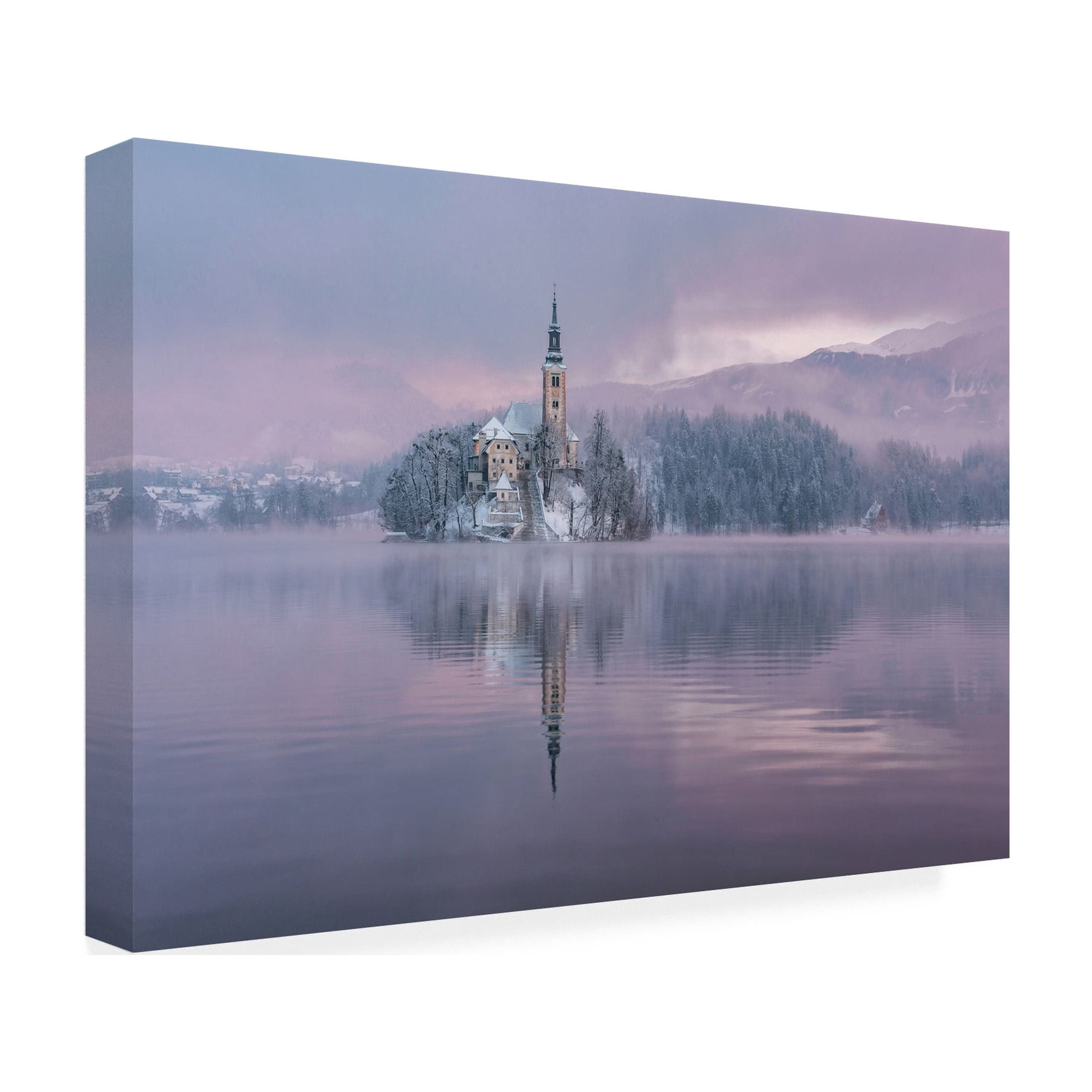 Ales Krivec 'Frozen Fairytale' Canvas Art