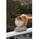 thumbnail image 1 of Aurora - Miyoni - Pomerania de 9" Aurora World Aurora World, 1 of 2