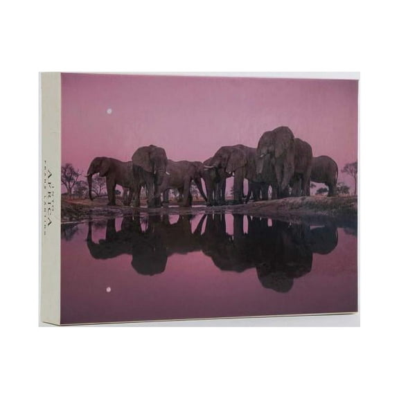 Into Africa: Blank Boxed Notecards (Paperback)