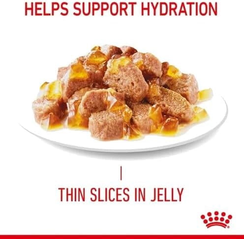 Royal Canin Intense Beauty Cat Wet Food in Jelly 12x85g