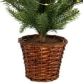 thumbnail image 5 of Northlight Pre-Lit Artificial Pine Christmas Tree with Basket Base - 20" - Warm White LED Lights, 5 of 5