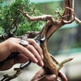 thumbnail image 6 of Uxcell Bonsai Scissors 8.8 Inch 223mm Bonsai Tool Pruning Trimming Shears Branch Cutter, Black, 6 of 7