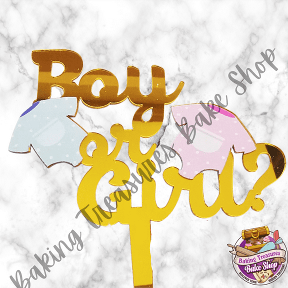 Mini Boy or Girl Gender Reveal *