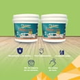 thumbnail image 3 of PINTEX Kit Pinta-me 2 Galones Pintura Vinil-Acrílica 3.8 L c/u | Incluye Brocha, Rodillo, Felpas, Masking Tape y Plastiprotector | Acabado Mate | Interiores y Exteriores | Verde Manzana, 3 of 5