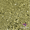 Gold Chunky Mix, variant on West Texas Glitters 2oz Metallic Fuschia Pink, Passion Kiss, Extra Fine, Art and Craft, Polyester Glitter, 1 Each Shaker Bottle