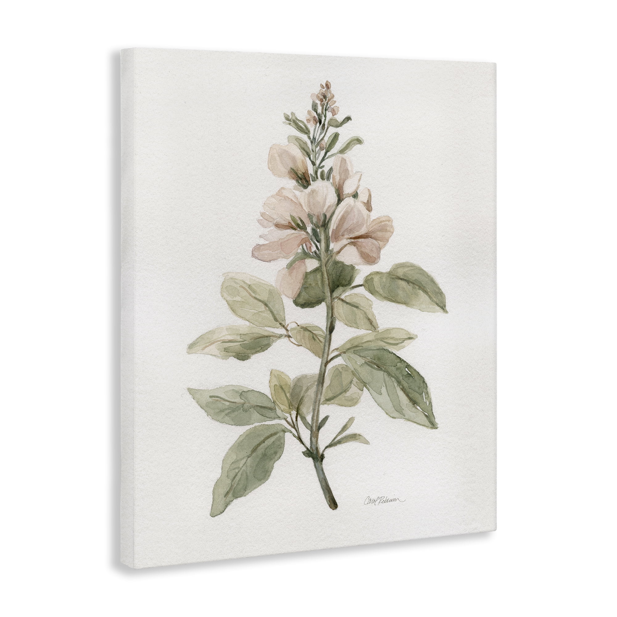 Stupell Industries Subtle Watercolor Botanicals Plants & Flowers Painting Wrapped Canvas Art Print Wall Art, 24 x 30