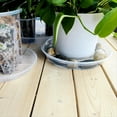 thumbnail image 6 of house plant accessories, plant trays to catch water - Loetky 1PC Clear Plastic Plant Saucer Tray for Indoor and Outdoor Pots, Deep Drip Catcher for Windowsill, Desk and Balcony, 12.5"x12.5", 6 of 9