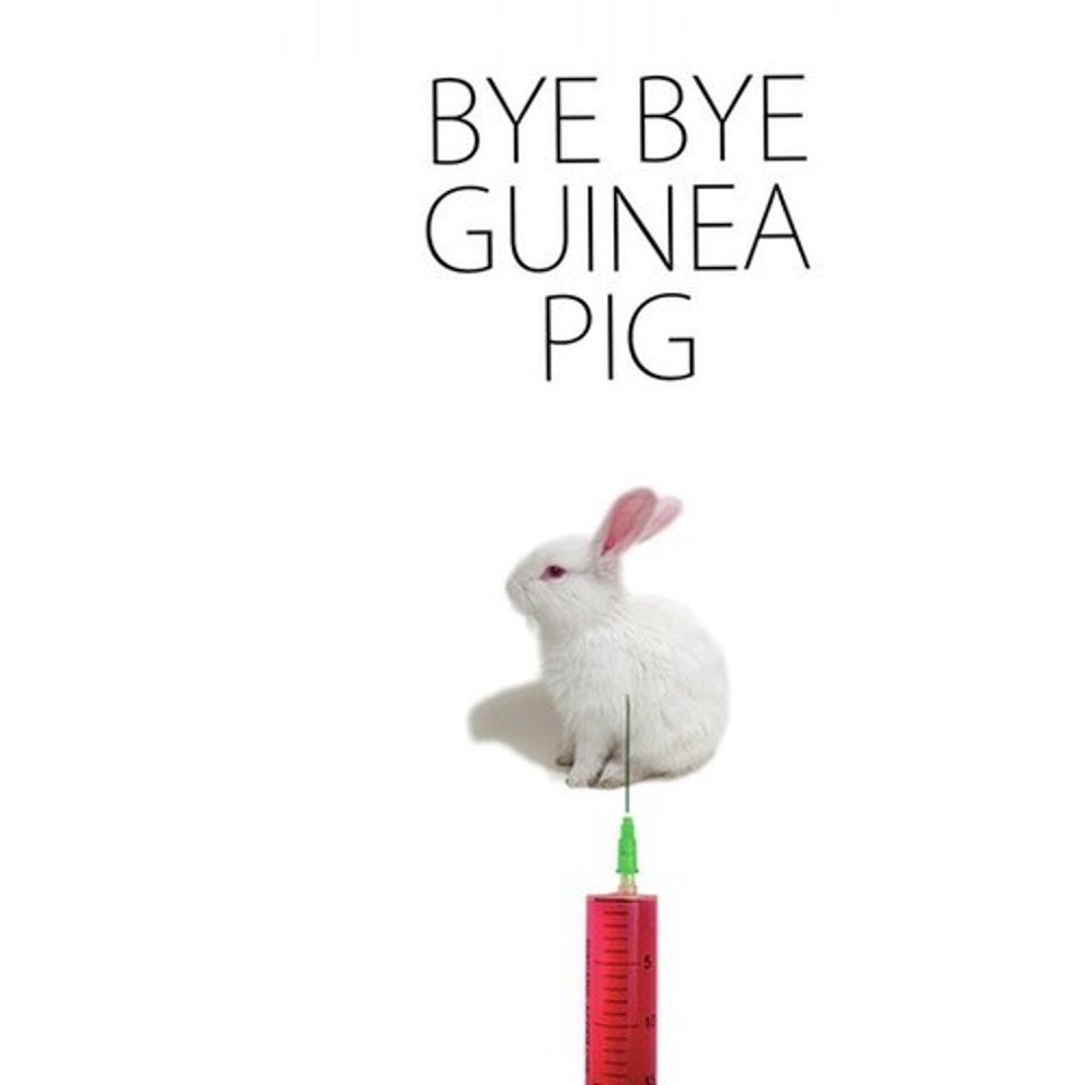 Bye Bye Guinea Pig (DVD)