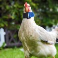 thumbnail image 2 of Miangastore HOMEMAXS 2pcs Rooster Crowing Collar Silent Chicken Collars Replacements Noise Free Bands, 2 of 8