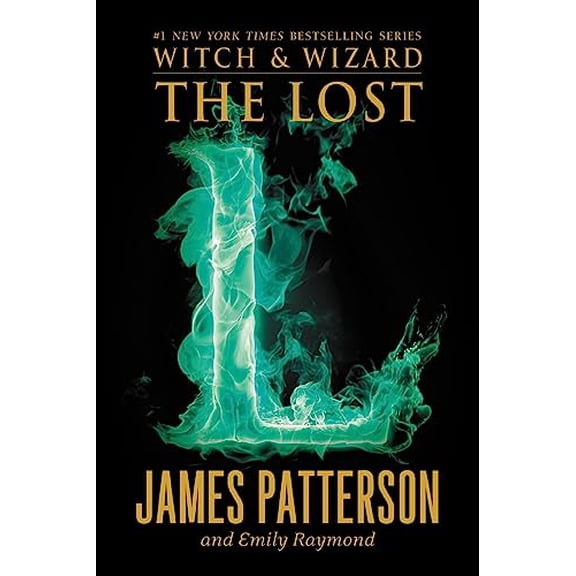 Pre-Owned The Lost (Hardcover) 0316240028 9780316240024