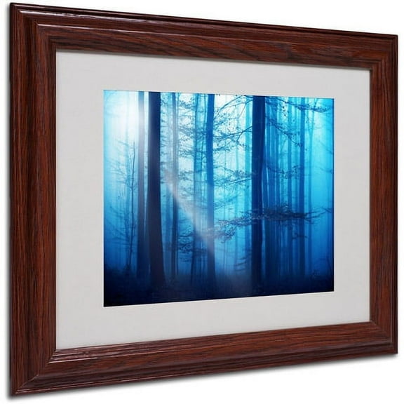 Trademark Fine Art "Light Box Blues" Canvas Art by Philippe Sainte-Laudy, Wood Frame