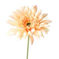 thumbnail image 2 of Gwong Decoración hogareña Crisantemo artificial realista Hermoso hermoso Ornamental Seda artificial Chrysanthemum Flower Decoration para el hogar Gwong 21066125, 2 of 6