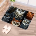 thumbnail image 5 of Owl Non-Slip Polyester Floor Rug Mat, Machine Washable Floor Mats, 5 of 6