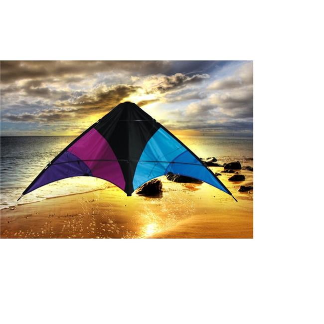Sky Dog Kites SKK20401 Learn to Fly Kite, Black Walmart Canada