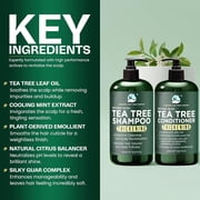 Tea Tree Shampoo & Conditioner Set | Thinning Hair Loss Treatments for Men and Women