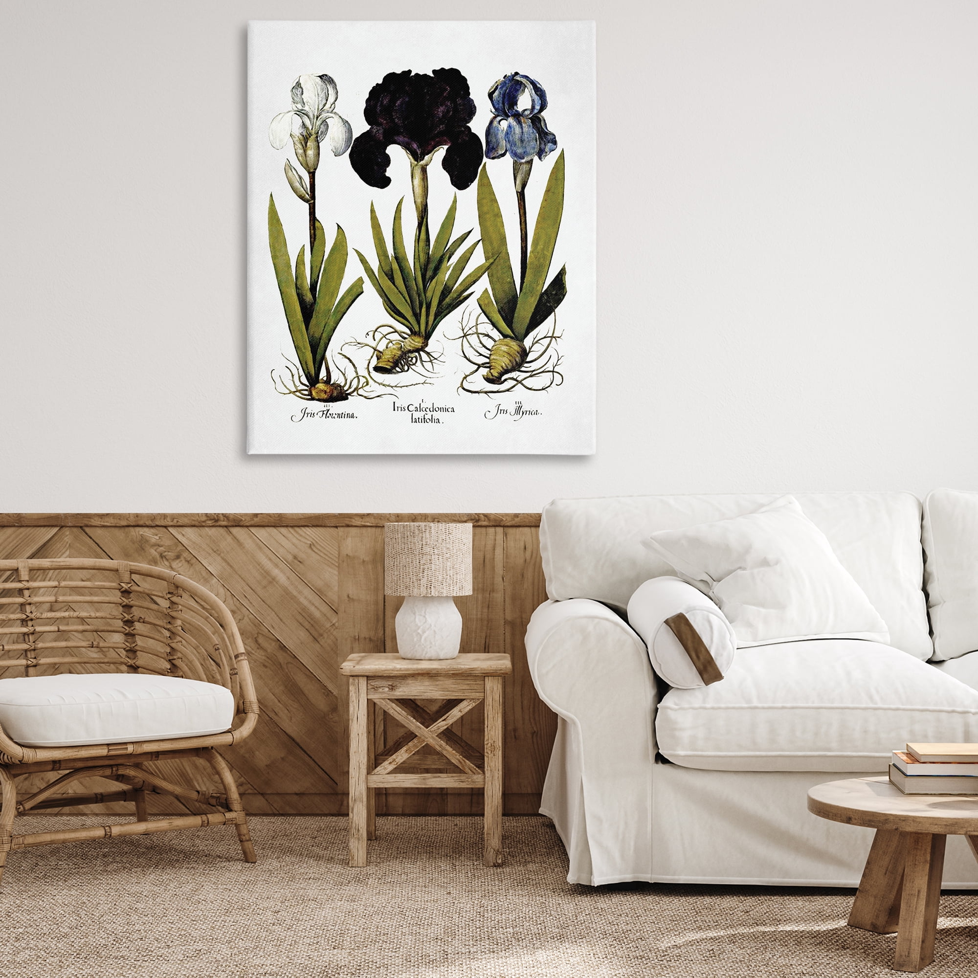 Stupell Industries Vintage Iris Flowers Botanical & Floral Painting Gallery Wrapped Canvas Art Print Wall Art, 36 x 48