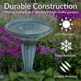 thumbnail image 3 of Sunnydaze Grecian Column Freestanding Glass Fiber Reinforced Concrete Outdoor Bird Bath, Green, 3 of 20