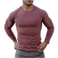 thumbnail image 2 of tarylea Sweaters for Men Long Sleeve Crew Neck Ribbed Knitted Slim Fitted Pullover Casual Stretch Comfy Fall Tops, 2 of 3