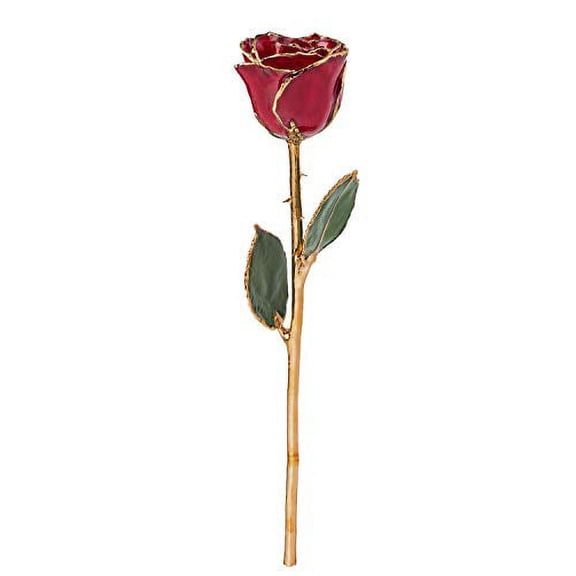 Forever Rose USA Brand, a Genuine, One of a Kind, Real Deep Red Rose, Hand Dipped in Lacquer and Trimmed in 24K Gold