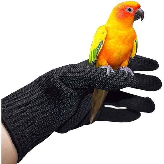 Bird Training Anti-Bite Gloves, Small Animals Handling Gloves Chewing Protective Gloves Black