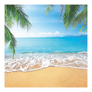 Beach Backdrop, Luau, Party Favors, Party Decor, 1 Piece