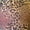 Cheetah Zebra Tie Dye Print, variant on COUVER Women's High Waisted Performance Activewear Leggings Dusty Mauve 2X-Large