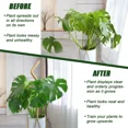 thumbnail image 2 of Moss Pole for Climbing Plants, 2 Pack 23.6 Inch Bendable Plant Support Stakes with Coco Coir & Jute Rope, Indoor Trellis for Monstera, Pothos, Philodendron Houseplants, 2 of 8