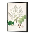 thumbnail image 3 of Designart 'Ancient Botanicals XVI' Farmhouse Framed Canvas Wall Art Print, 3 of 5