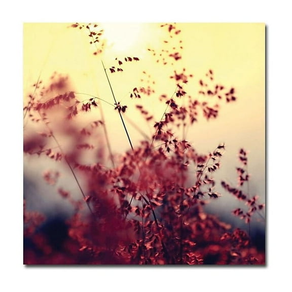 Trademark Fine Art "Memories of You" Canvas Art by Beata Czyzowska Young