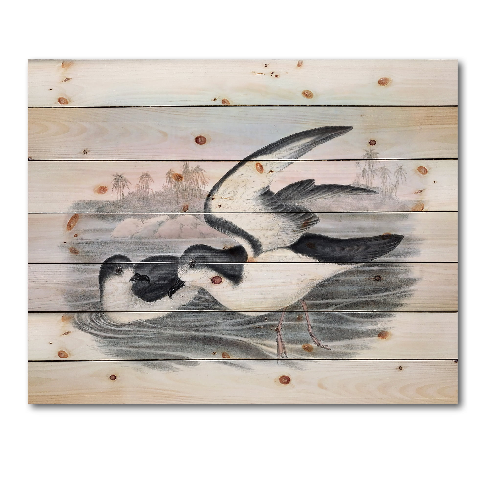 Designart 'Ancient Australian Birds X' Traditional Print on Natural Pine Wood