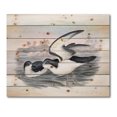 thumbnail image 3 of Designart 'Ancient Australian Birds X' Traditional Print on Natural Pine Wood, 3 of 5