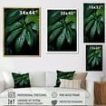 thumbnail image 4 of Designart "Embracing Emerald Jungle Leaves" Palms & Palm Trees Floater Framed Canvas Art Print, 4 of 5