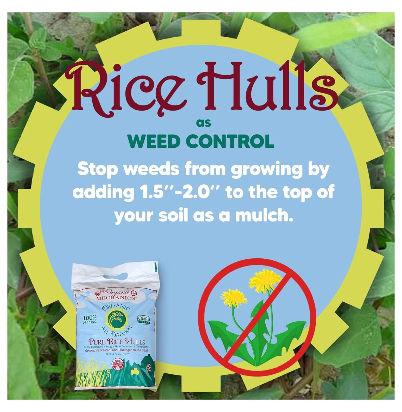 Pure Rice Hulls, 2 Cubic Foot - A Sustainable Alternative to Perlite - Enhances Drainage, Porosity and Air Space - Eco-Friendly & Locally Sourced