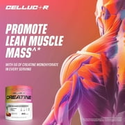 Cellucor Cor-Performance Creatine Powder, Fruit Punch Flavor, 50 Servings