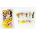 thumbnail image 2 of PEONAVET Dried Flowers Material Kit Diy Everlasting Flowers Material Making Valentine'S Day Gift, 2 of 2