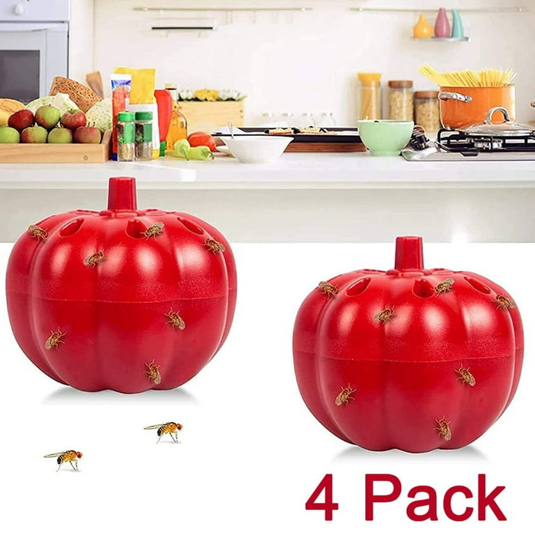  Fruit Fly Trap for Indoor- Non-Toxic Insects Bait Refill  Liquid Only- Fruit Fly Bait with Sticky Pads- with 6 Packs Fly Trap Refills  Liquid Replacement- 24 Packs Fruit Fly Trap