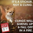 thumbnail image 4 of Pet Alert Fire Safety Sticker Decal, Emergency Rescue Warning Decal for Windows, 10pc Pet Safety Stickers for Home, Eye-Catching Decal to Alert Firefighters about Pets Inside, 4 of 6