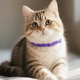 thumbnail image 3 of FlareFable Calming Collar for Cats, 3Pcs Cat Calming Collar with Long-lasting Release, Cat Anxiety Relief Collar, Cat Calming Product, Pheromone-Infused Behavior Support, Suitable for All Cat Breeds, 3 of 6
