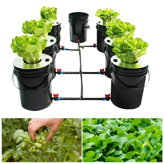 5 Gallon Hydroponics Grow System Kit 7 Buckets Recirculating Deep Water Culture (Black)