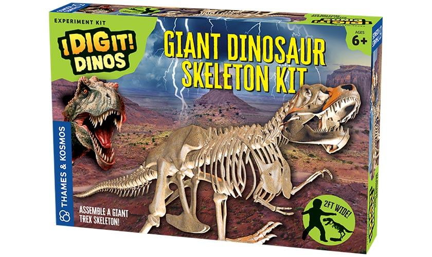 Rex Model for sale online Giant Dinosaur Skeleton Kit 2ft T Thames & Kosmos I Dig It Dinos Saver