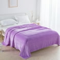thumbnail image 4 of Blankets And Throws Clearance, Hwkond Plain Color Flannel Blanket For Winter Warm, Coral Velvet Conditioning Blanket, Blankets for Beds, Picnic Blanket Aviation Leg Blanket(200x230cm)-Purple, 4 of 7