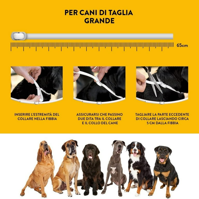 Flea collar clearance for dogs walmart