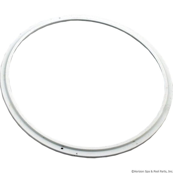 Pentair 78880200 Aqualumin Silicone Pool & Spa Light Lens Seal