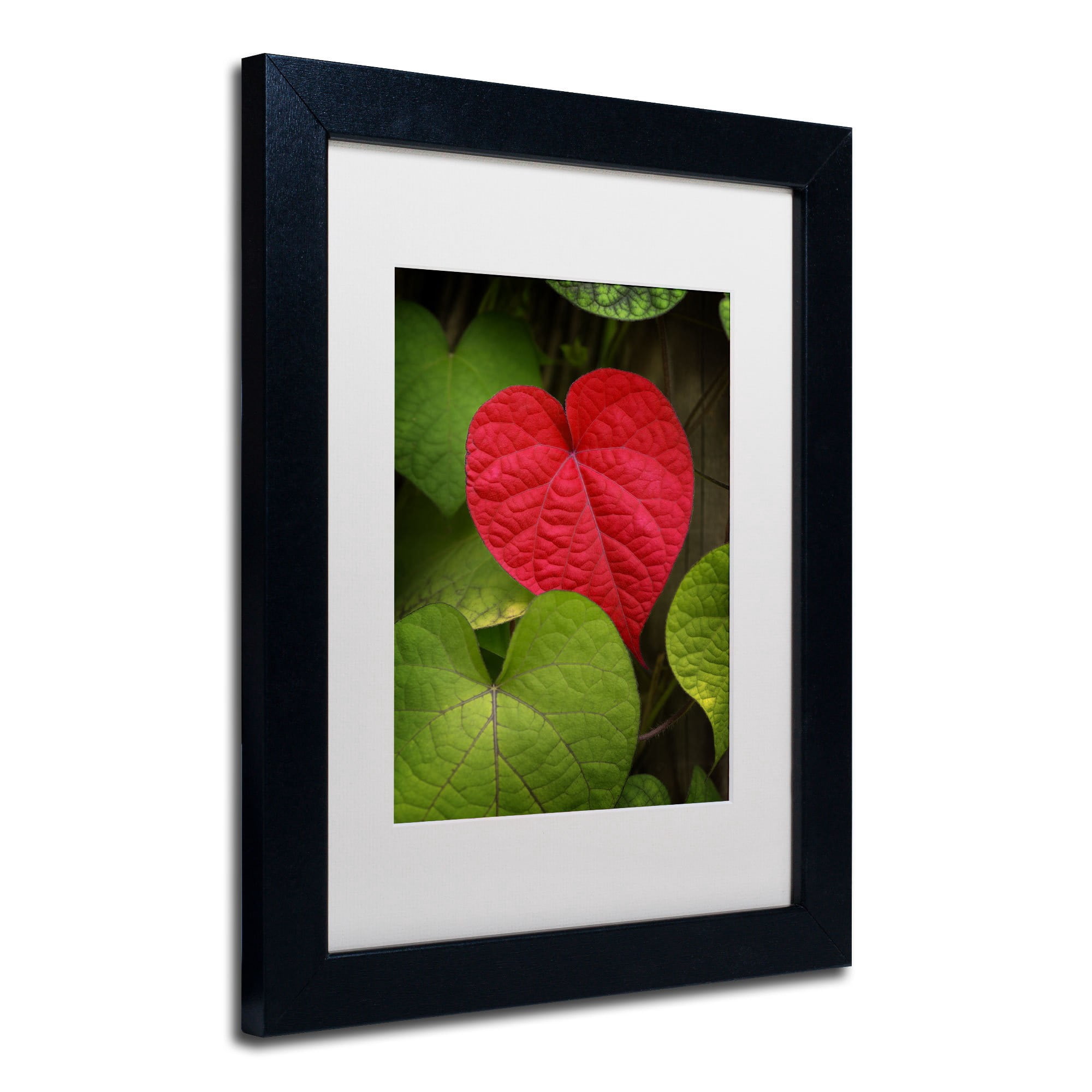 Trademark Fine Art "Heart to Take" Canvas Art by Philippe Sainte-Laudy, White Matte, Black Frame