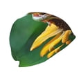 thumbnail image 3 of Xecao Tree Frog Sitting On Sunflowes Print Knit Hat,Winter Beanie for Men Women, Beanie Soft Warm Ski Stocking Cuffed Cap, 3 of 7