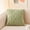 Green, variant on Matoen12 1PC Plush Throw Pillow 15.7"x15.7", Solid Cotton Square Pillows Cozy Cushion Home Decor for Sofa Bed, Summer Supplies Decorative Pillows with Pillow Cover and Insert, Green, 2024 New