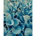thumbnail image 3 of Urban Epiphany 20x24 Black Modern Framed Museum Art Print Titled - Green Plants Happy Day 1, 3 of 5