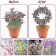 thumbnail image 4 of Metal Garden Trellis for Climbing Plants Mini Trellis Metal Plant Supports, Round and Heart Shaped, for Potted Plants 2 PCS, 4 of 5
